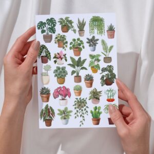 plant 1
